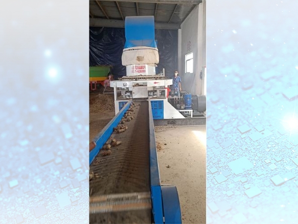 安(ān)徽望江縣