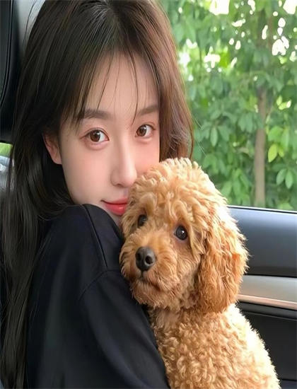 完美妻子文化理解指南：背景知识与文化差异